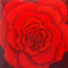 "Rose" - �lbild - Online-Galerie Nr.24